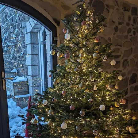 Grande Ferme De 250m2 Renovee Au Charme Rustique Villa Mazet-Saint-Voy