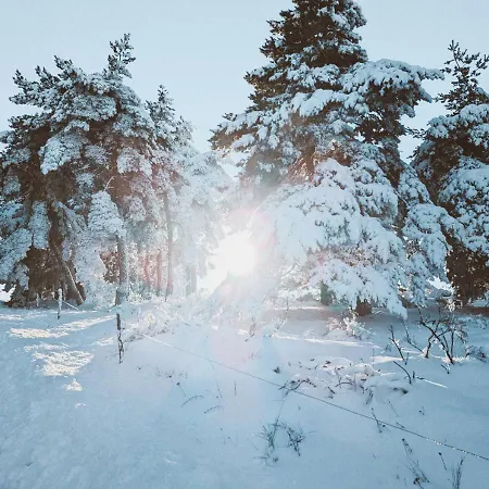 Grande Ferme De 250m2 Renovee Au Charme Rustique * Mazet-Saint-Voy