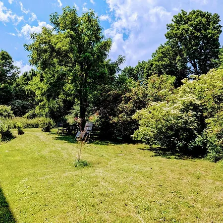 Grande Ferme De 250m2 Renovee Au Charme Rustique Mazet-Saint-Voy