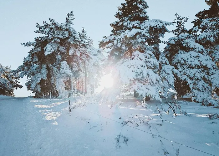 Grande Ferme De 250m2 Renovee Au Charme Rustique * Mazet-Saint-Voy