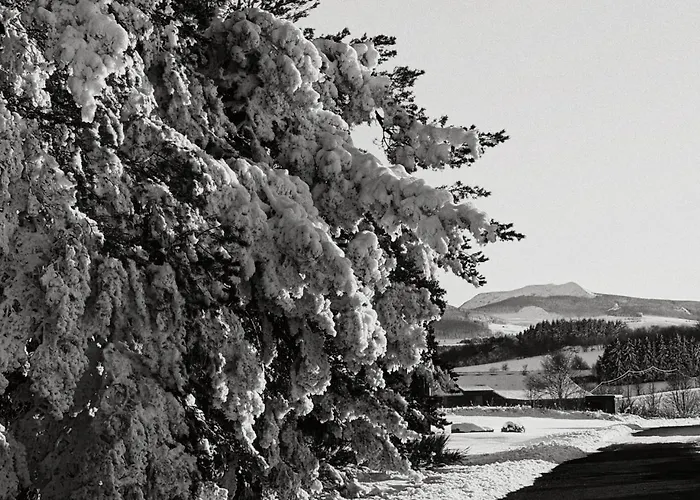 Grande Ferme De 250m2 Renovee Au Charme Rustique