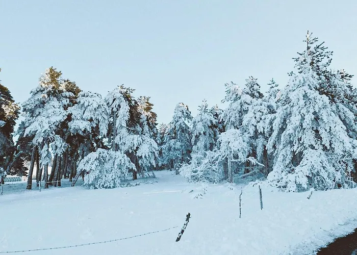 Grande Ferme De 250m2 Renovee Au Charme Rustique Villa Mazet-Saint-Voy