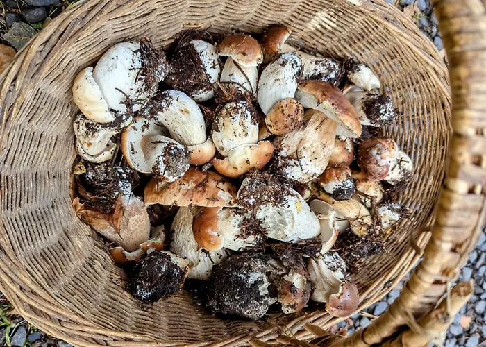 Villa Grande Ferme De 250m2 Renovee Au Charme Rustique *